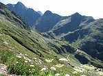 Salita al Monte Masoni il 25 luglio 08 - Percorso fotografico in FOTOGALLERY